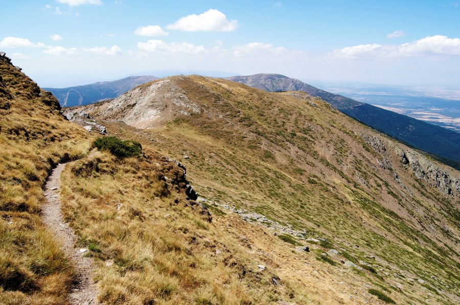Camino