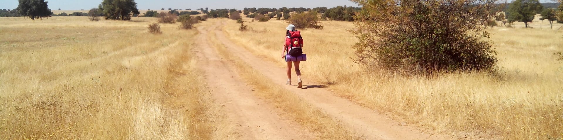 Etapa corta que nuestras piernas agradecieron después de la etapa de ayer. Dehesa, toros, vacas, encinas y calor, mucho calor. Resumen de la etapa Track en Wikiloc