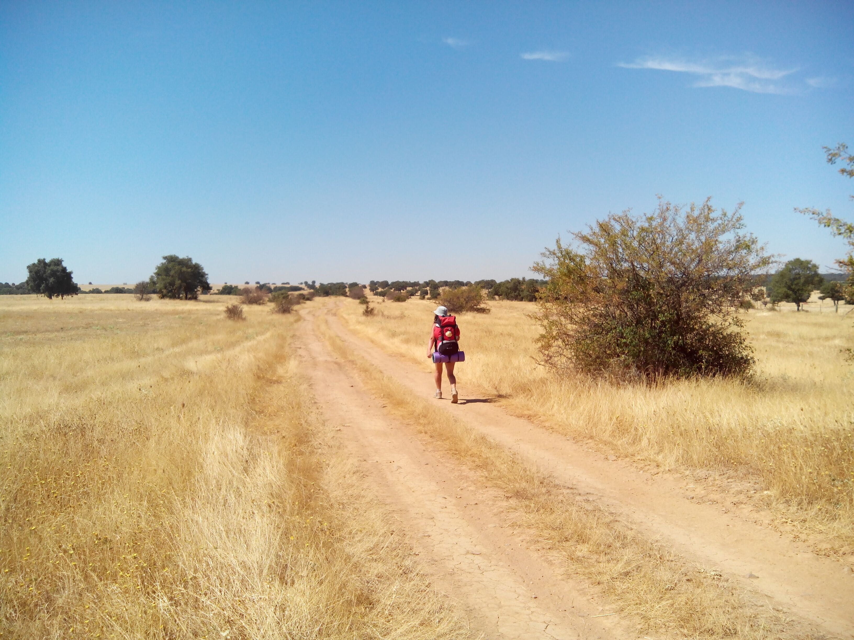 A person walking on a dirt road in a dry, grassy field with sparse trees.