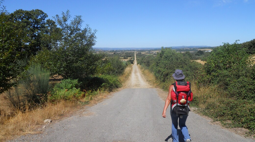 Tras atravesar Trasmiras, abandonamos la carretera nacional para atravesar cultivos por interminables rectas.