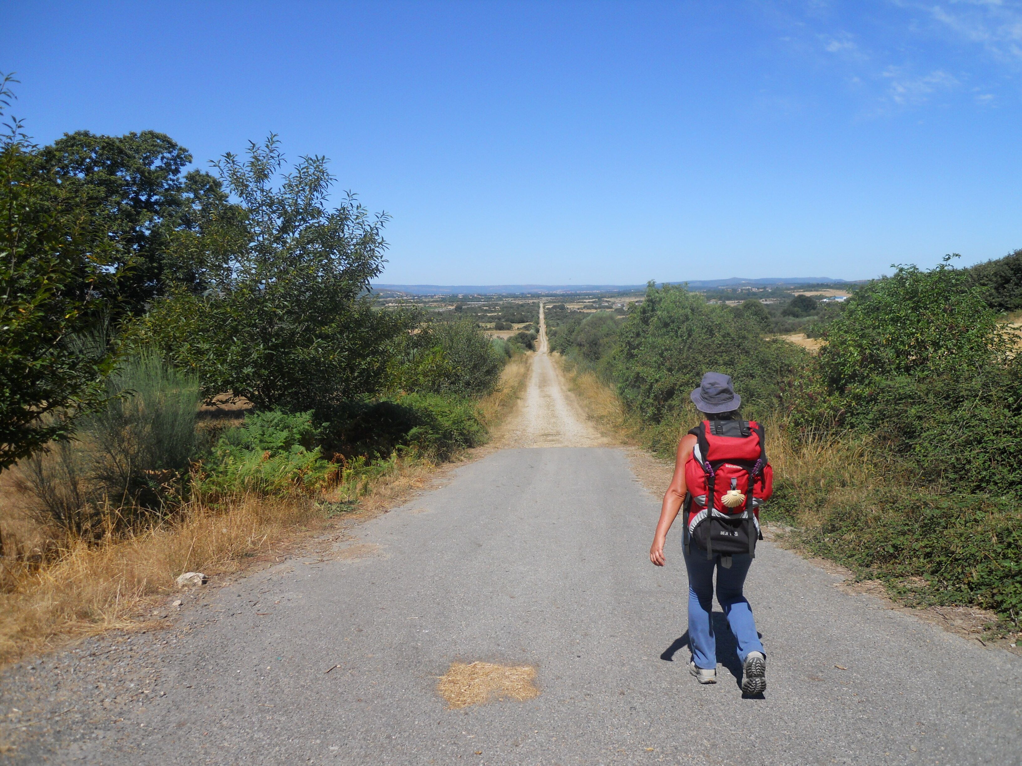 A hiker walking down a rural road surrounded by greenery.