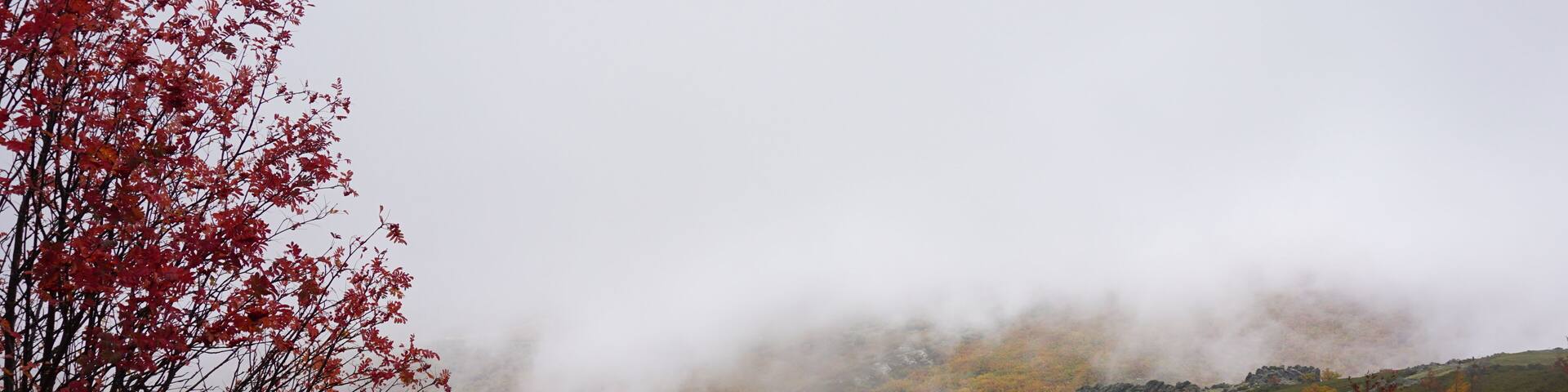 Beautiful colors in a cloudy day in Riaza, Segovia.
#lifeatExpediaGroup #fall #cloud #