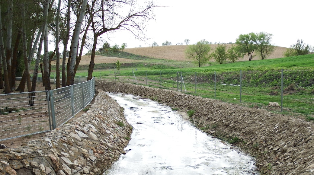 Fotos de Rozalén del Monte obtenidas en Wiki Takes Cuenca 2018