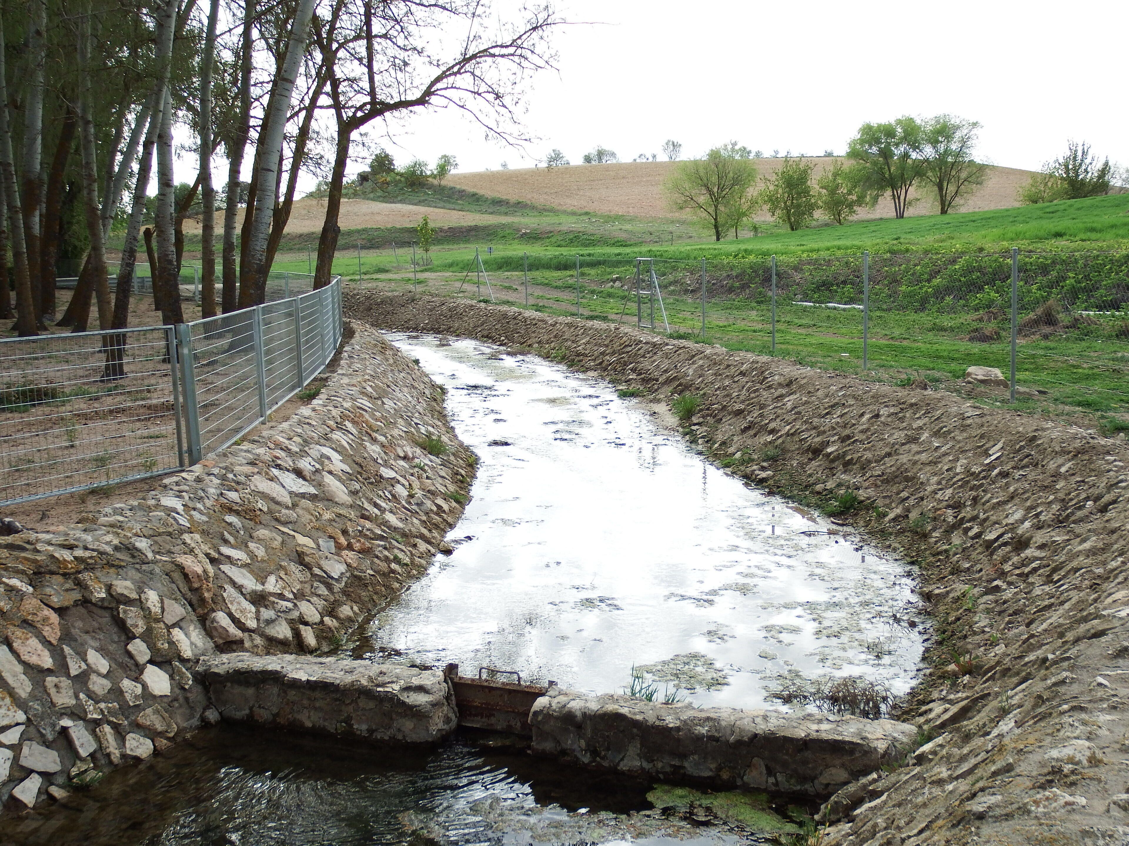 A narrow stream flowing through a stone-lined channel, surrounded by trees and grassy fields.