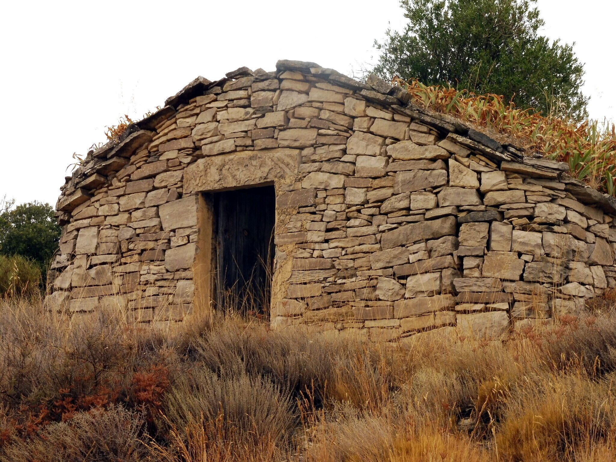 Cabana en volta del Sàrries (Granyena de Segarra)
