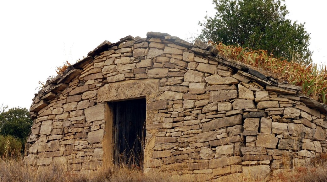 Cabana en volta del Sàrries (Granyena de Segarra)