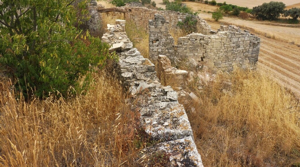 Teuleria de Granyena de Segarra