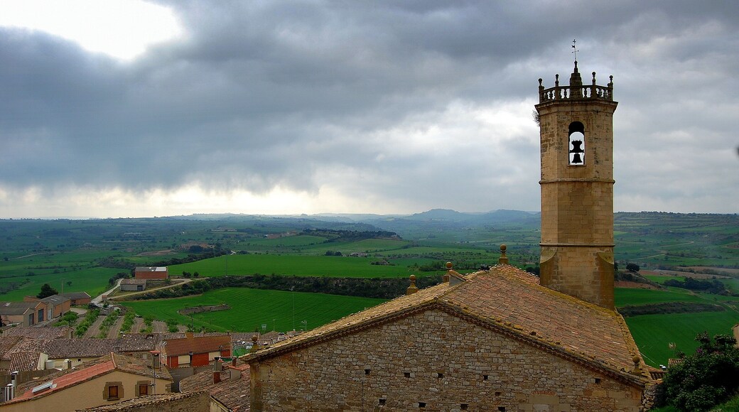 Esglesia parroquial de Santa Maria de Granyena de Segarra