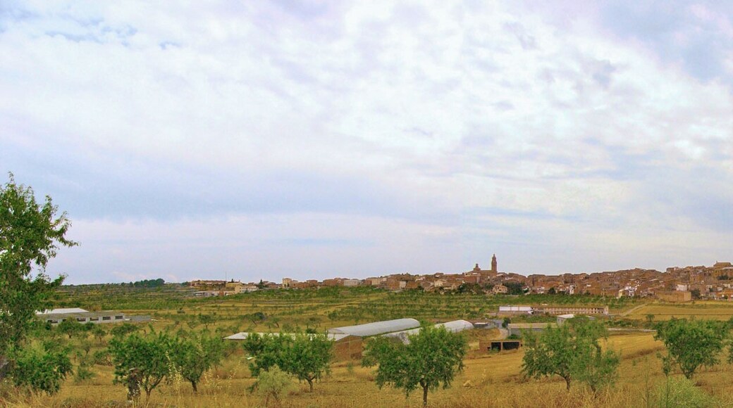 PanorĂ mica de la Granadella