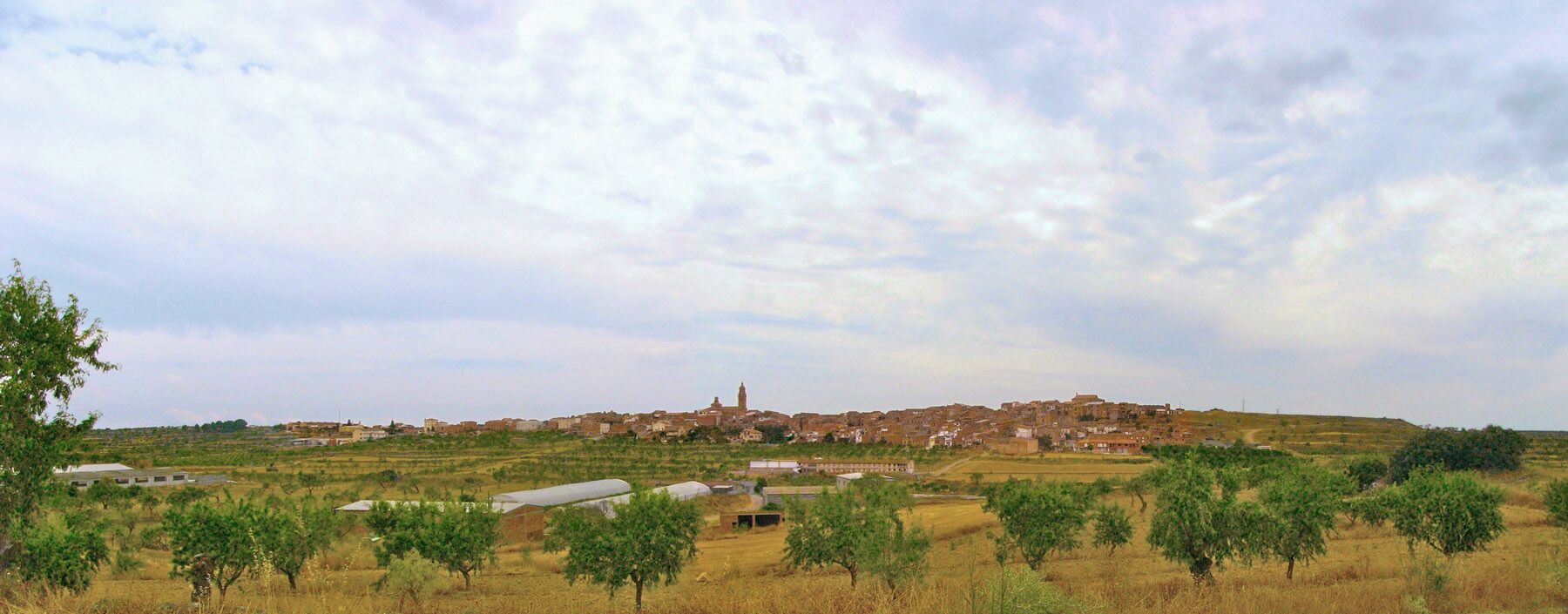 A rural landscape with olive groves, a historic town with a prominent tower, and a hilly backdrop.