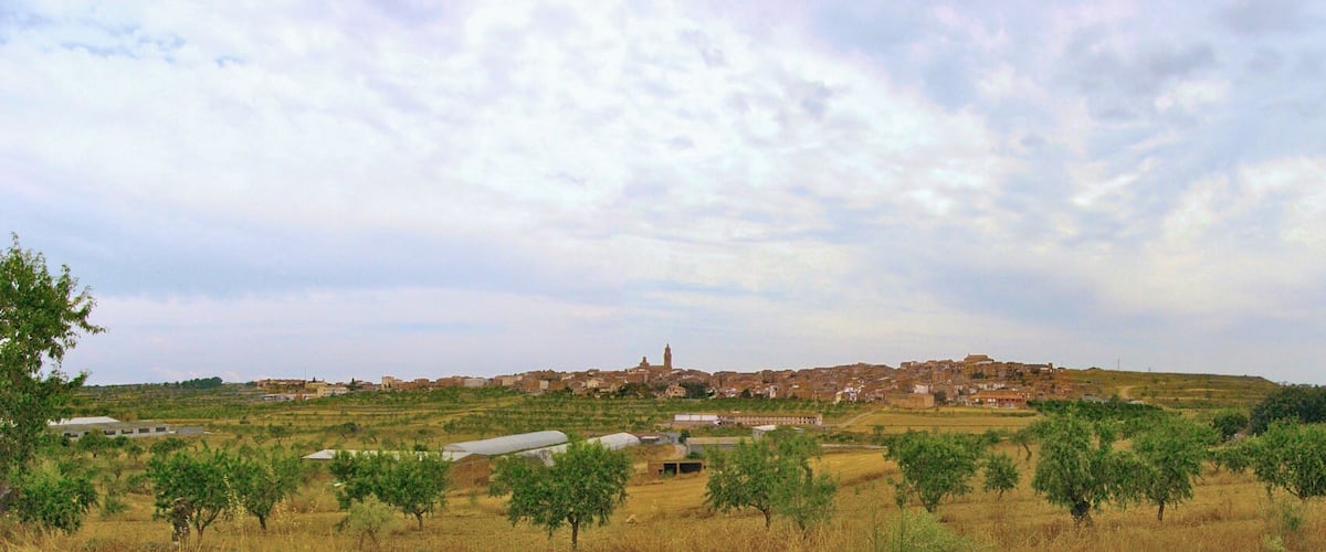 A rural landscape with olive groves, a historic town with a prominent tower, and a hilly backdrop.