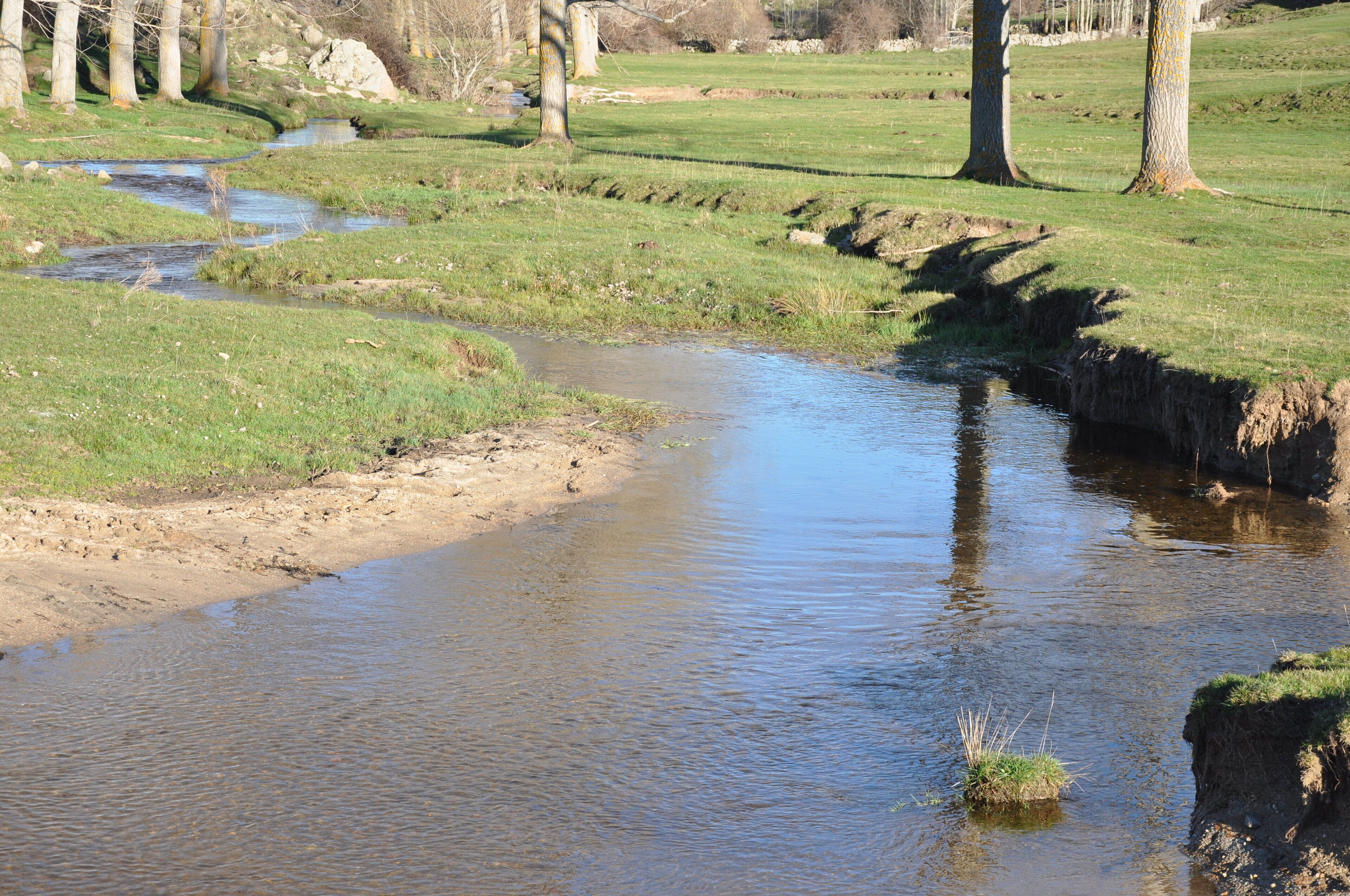 A calm stream with grassy banks and trees in a natural landscape.