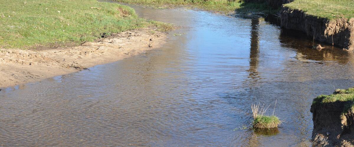 A calm stream with grassy banks and trees in a natural landscape.