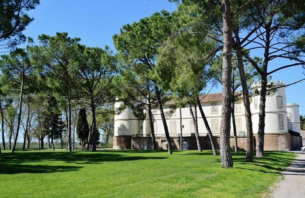 Castell del Remei (Penelles)