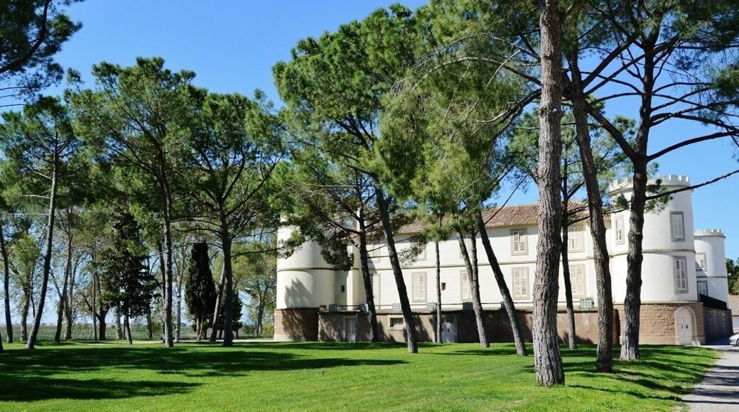 Castell del Remei (Penelles)