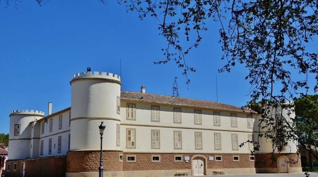 Castell del Remei (Penelles)