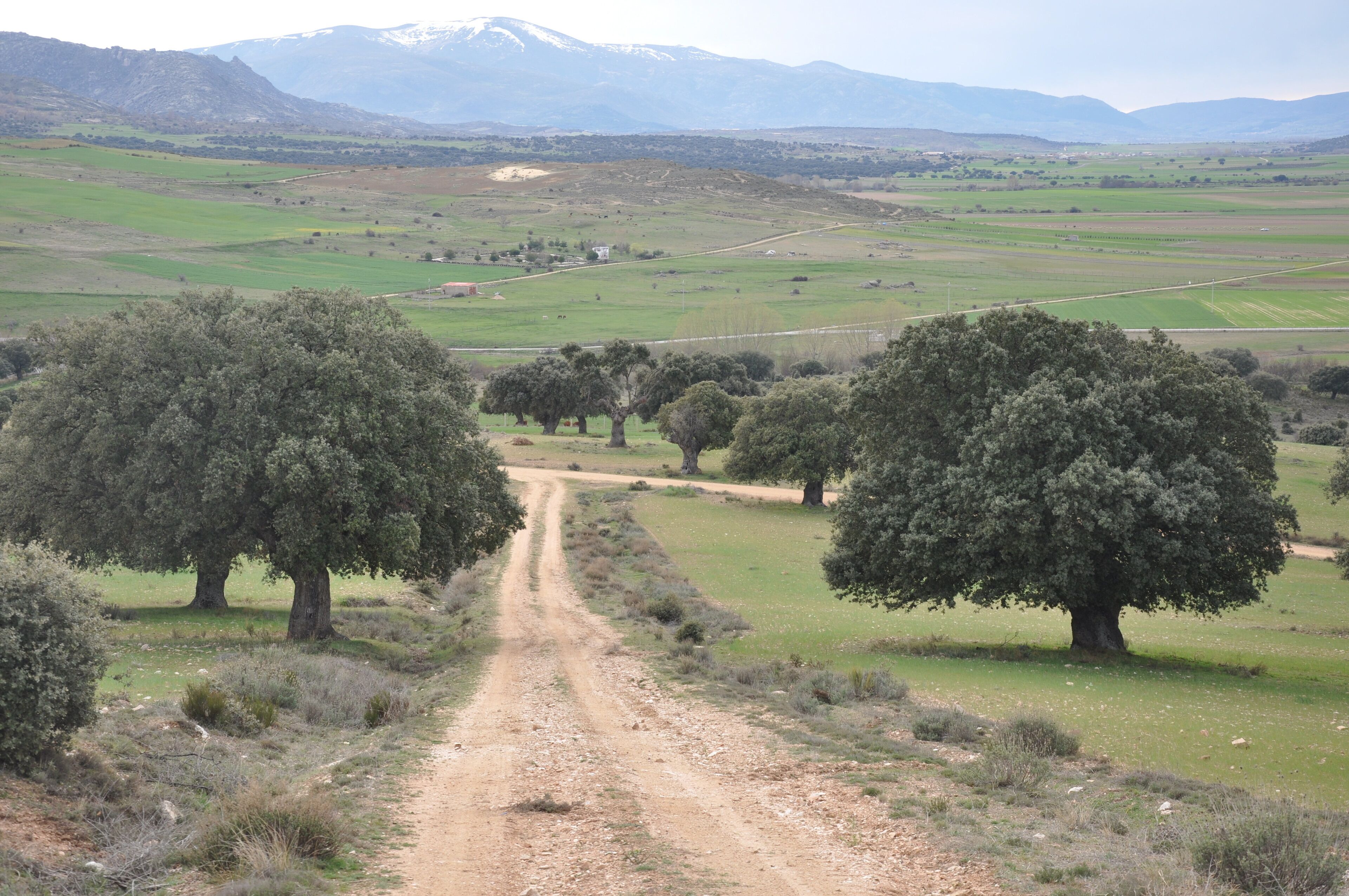 La Serrota, Ávila, España.