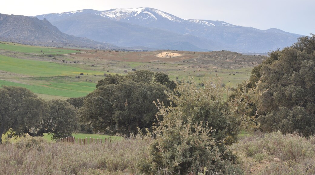 This is a photography of a Site of Community Importance in Spain with the ID: