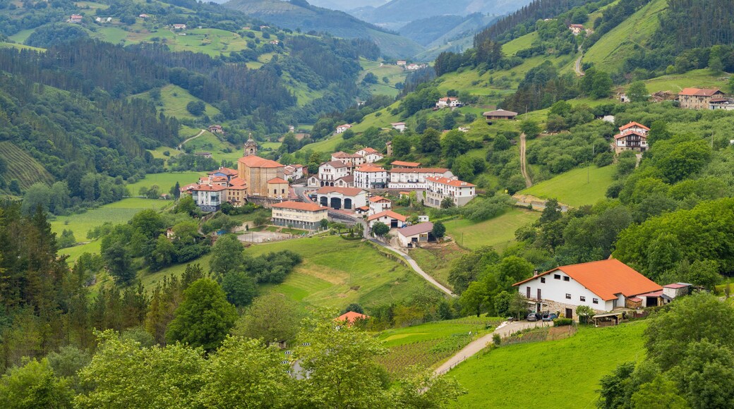 เบร์โรบิ