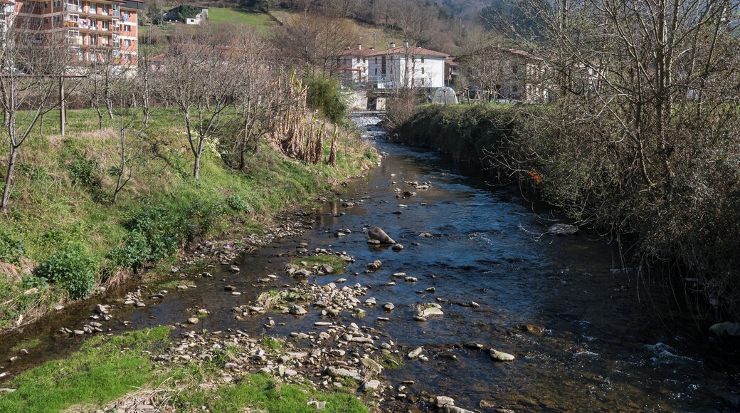 Elduain stream in Berrobi. Gipuzkoa, Basque Country, Spain
