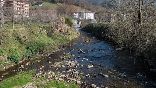 Elduain stream in Berrobi. Gipuzkoa, Basque Country, Spain