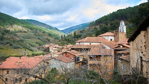 ์๋ฅด๋-ํ๋ ์ค