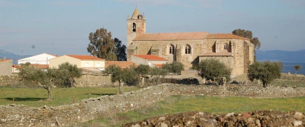 A historic stone church with a bell tower, surrounded by olive trees and a clear blue sky.