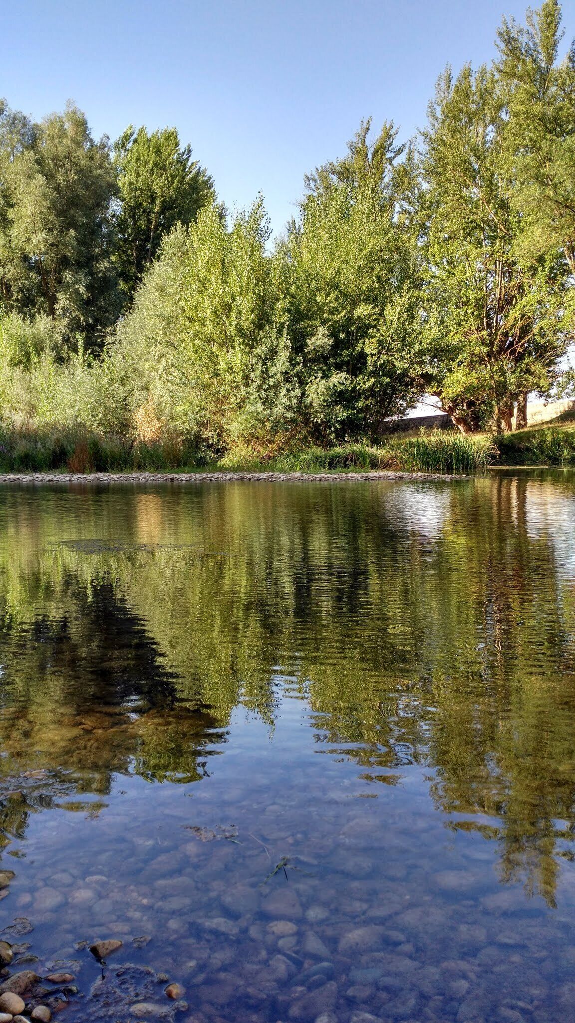 This is a photography of a Site of Community Importance in Spain with the ID: