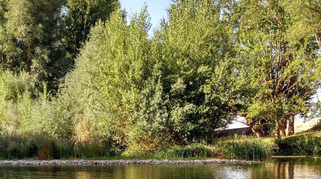 This is a photography of a Site of Community Importance in Spain with the ID: