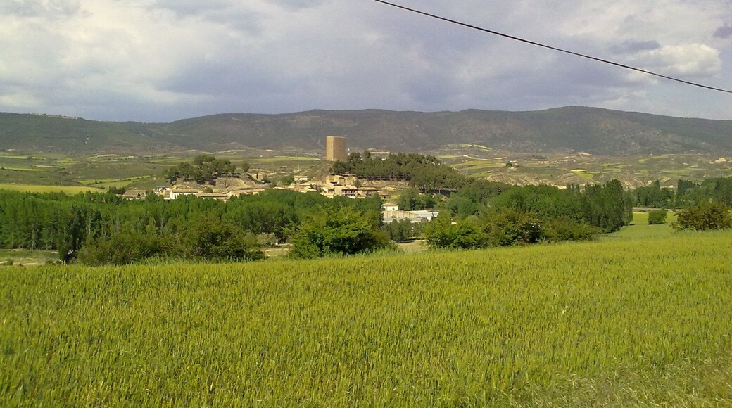 Navardún le 23 mai 2010. Espagne.