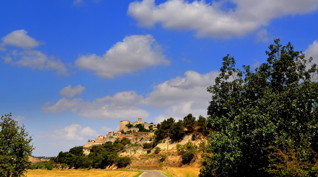 Castell de Vergós Guerrejat (Estaràs)