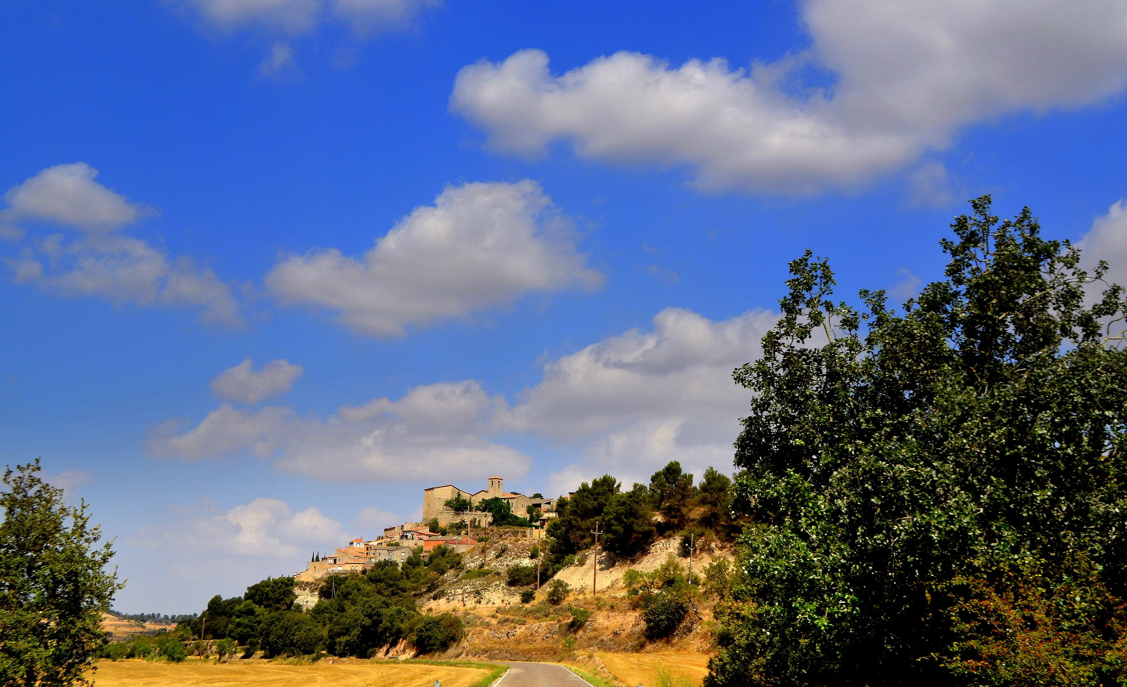 A hillside village with buildings and a tower, surrounded by trees and fields.