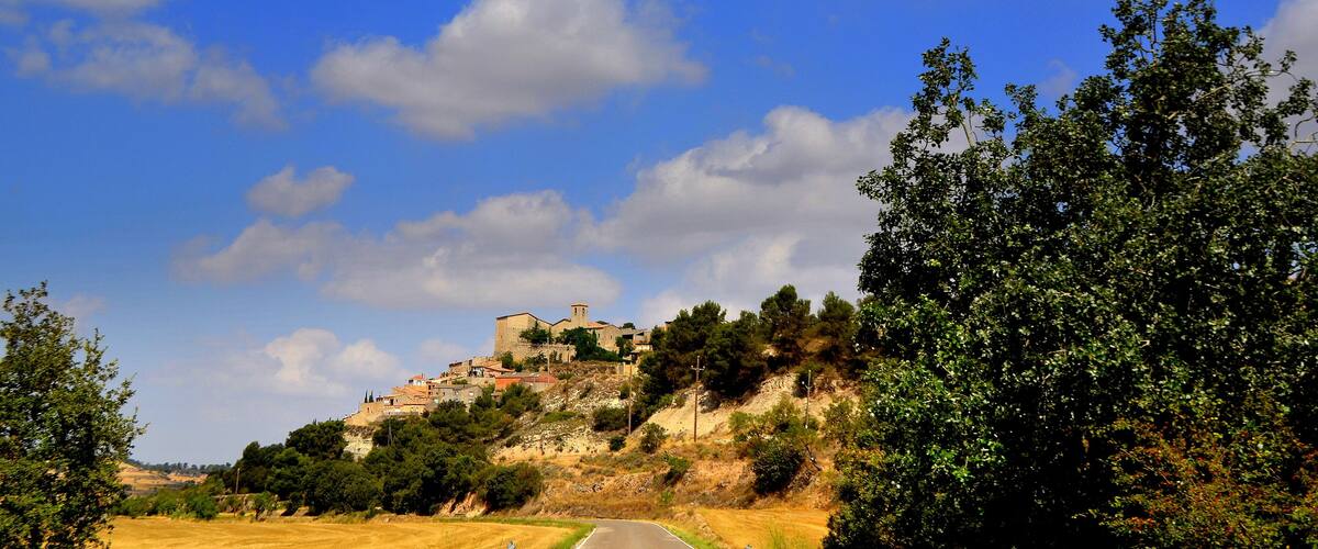 A hillside village with buildings and a tower, surrounded by trees and fields.