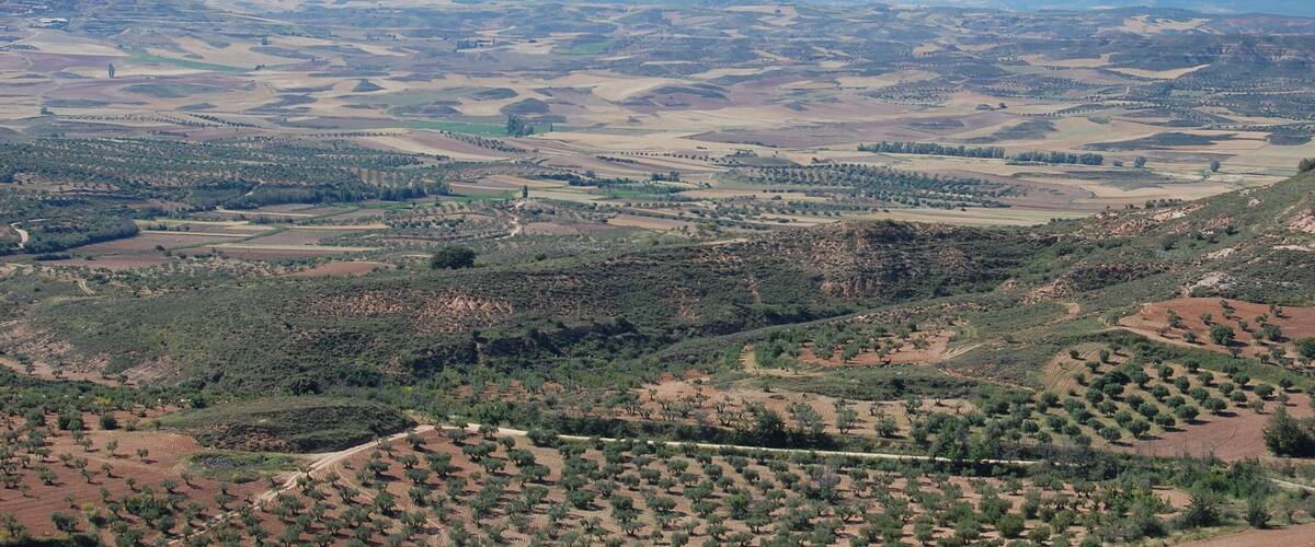 A vast landscape with rolling hills, fields, and sparse vegetation.