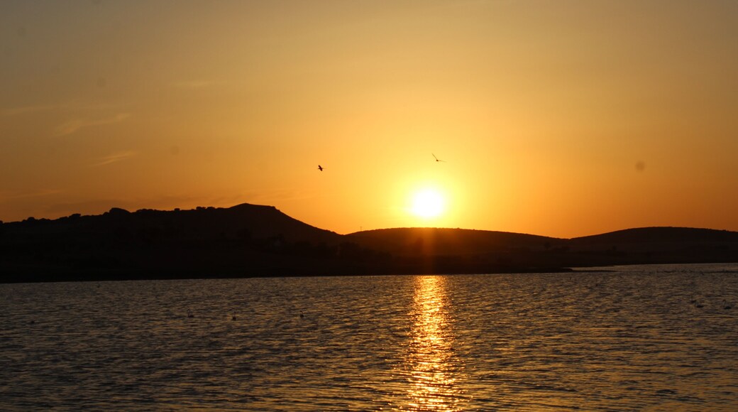 Sunset on Petrola Lagoon with flamingos crossing the sun