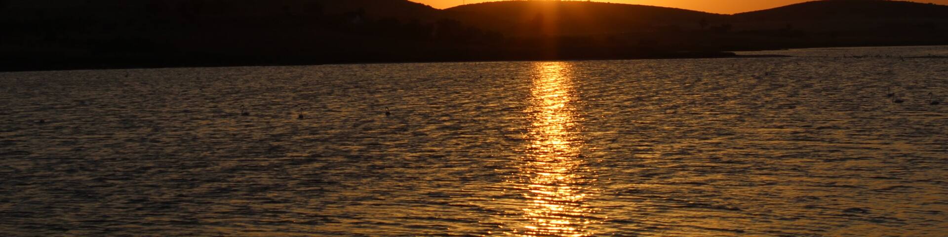 Sunset on Petrola Lagoon with flamingos crossing the sun