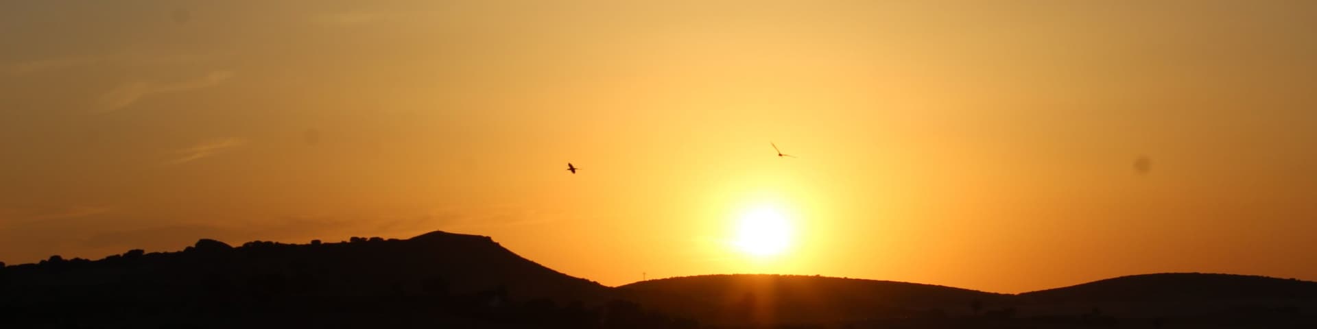 Sunset on Petrola Lagoon with flamingos crossing the sun