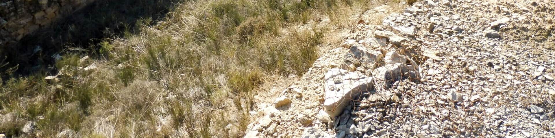 Molí de Nalec: la bassa This is a photo of a building indexed in the Catalan heritage register as Bé Cultural d'Interès Local (BCIL) under the reference IPA-29812.