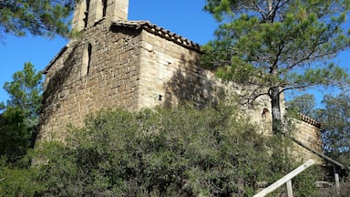 A stone church with a bell tower surrounded by trees.