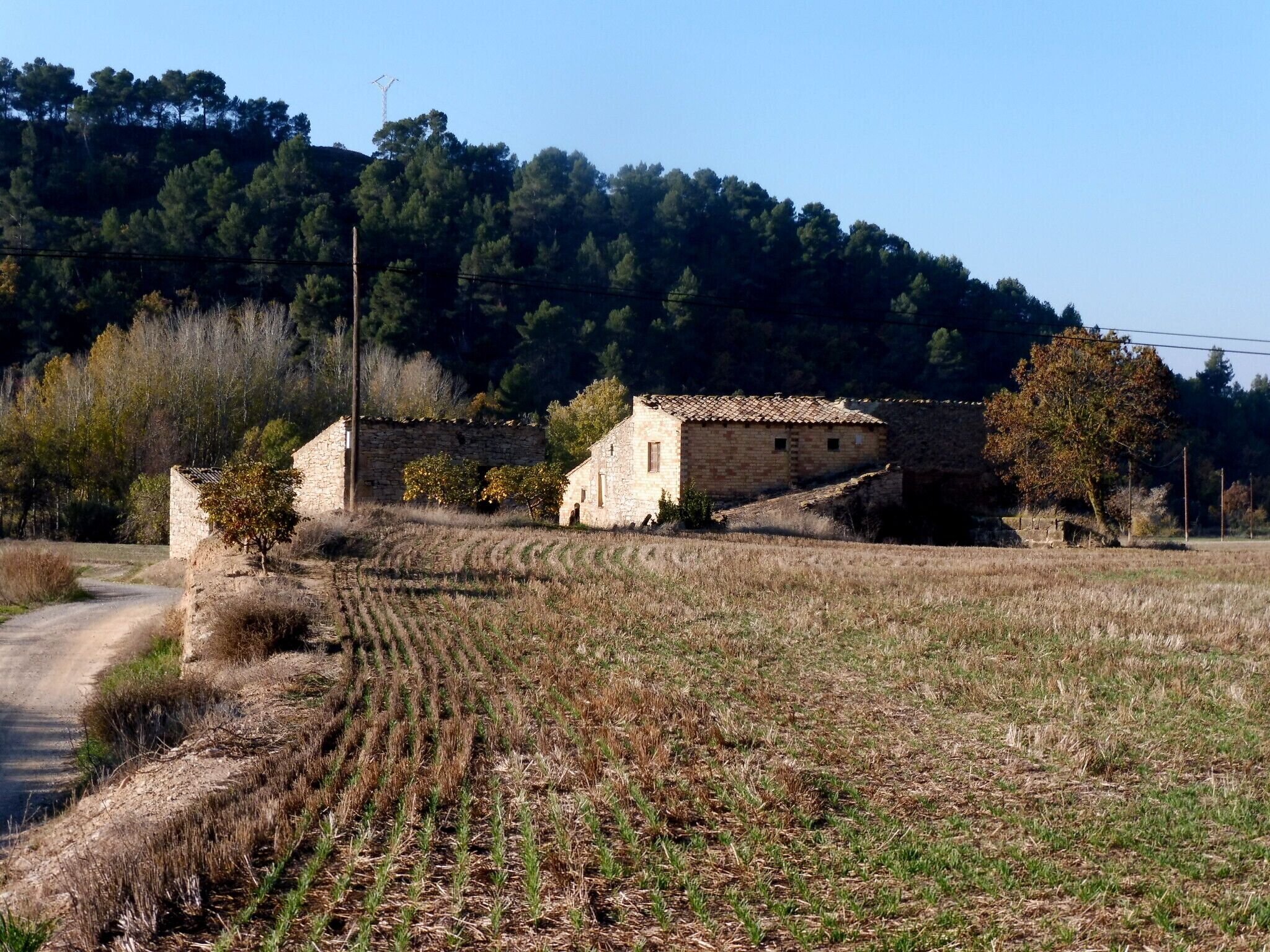 Molí de Mas de Bondia o de la Farina (Montornès de Segarra) This is a photo of a building indexed in the Catalan heritage register as Bé Cultural d'Interès Local (BCIL) under the reference IPA-26069.