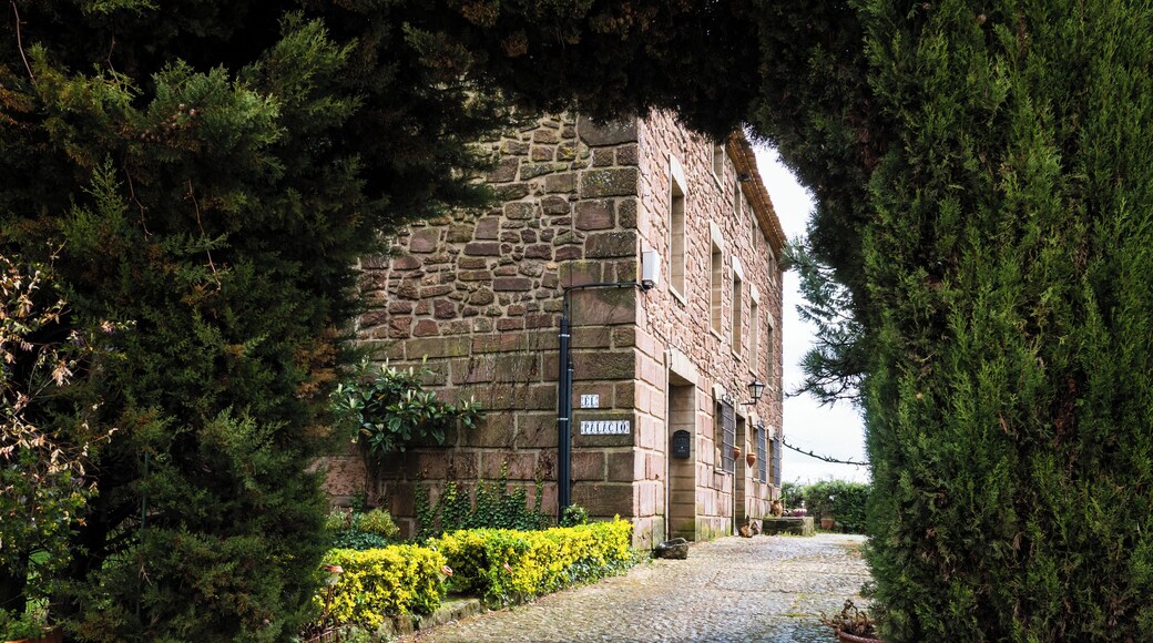 Village house "The Palace" in Mirafuentes, Navarre, Spain
