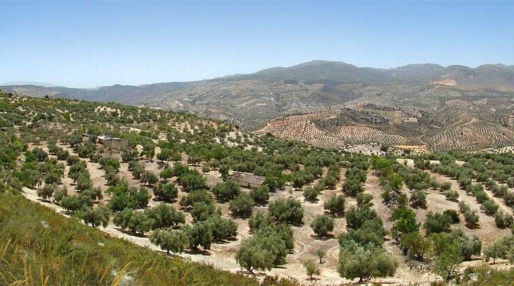 Vista panorámica desde la A4155, entre Alhama de Granada y Salar, Andalucía, España.