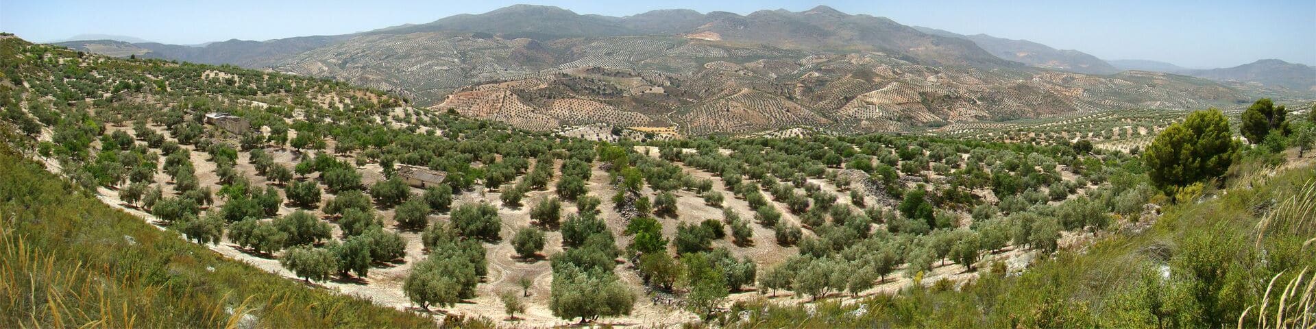 Vista panorĂĄmica desde la A4155, entre Alhama de Granada y Salar, AndalucĂa, España.