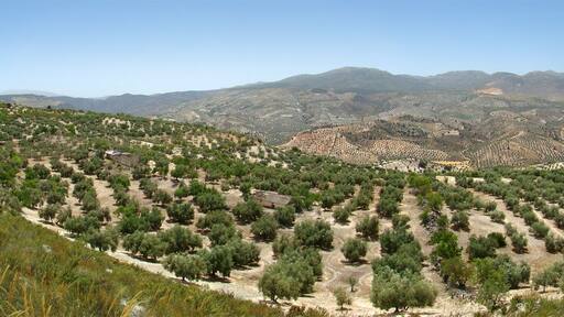 Vista panorámica desde la A4155, entre Alhama de Granada y Salar, Andalucía, España.