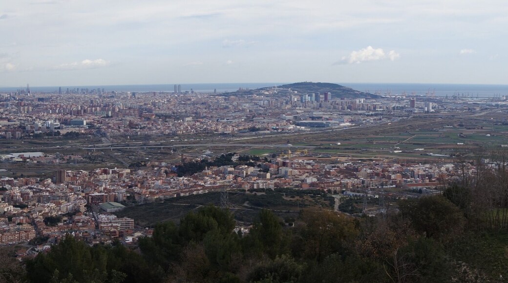 Ermita de Sant Ramon (Sant Boi de Llobregat)