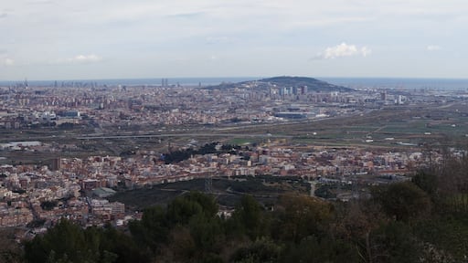 Ermita de Sant Ramon (Sant Boi de Llobregat)