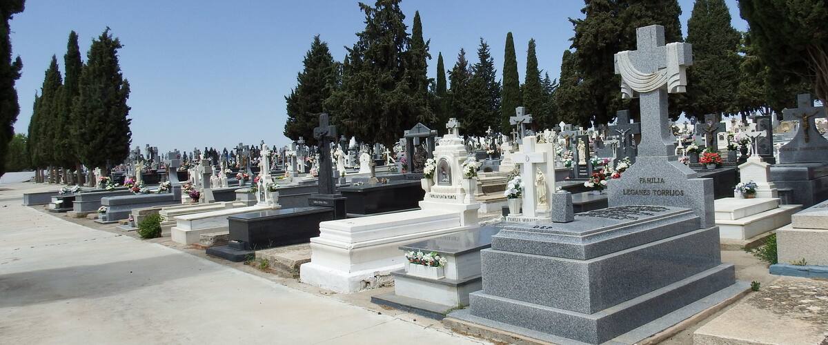 A cemetery with numerous gravestones, some adorned with flowers, and tall cypress trees in the background.