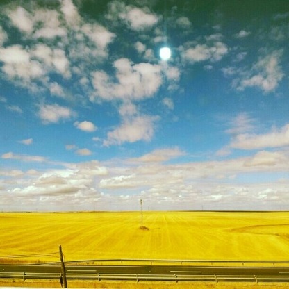 Road to Palencia