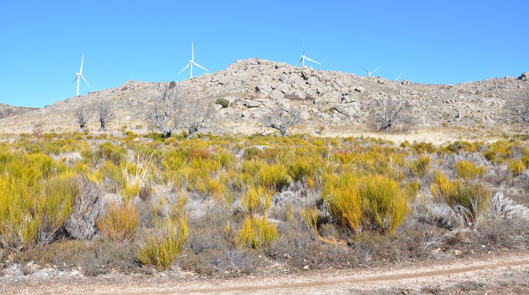 Cerro de Berrueco Negro,(1608 m) desde El Robledo, Sierra de Ávila, Amavida, AV, España. También retama negra y roble melojo en la parte baja.