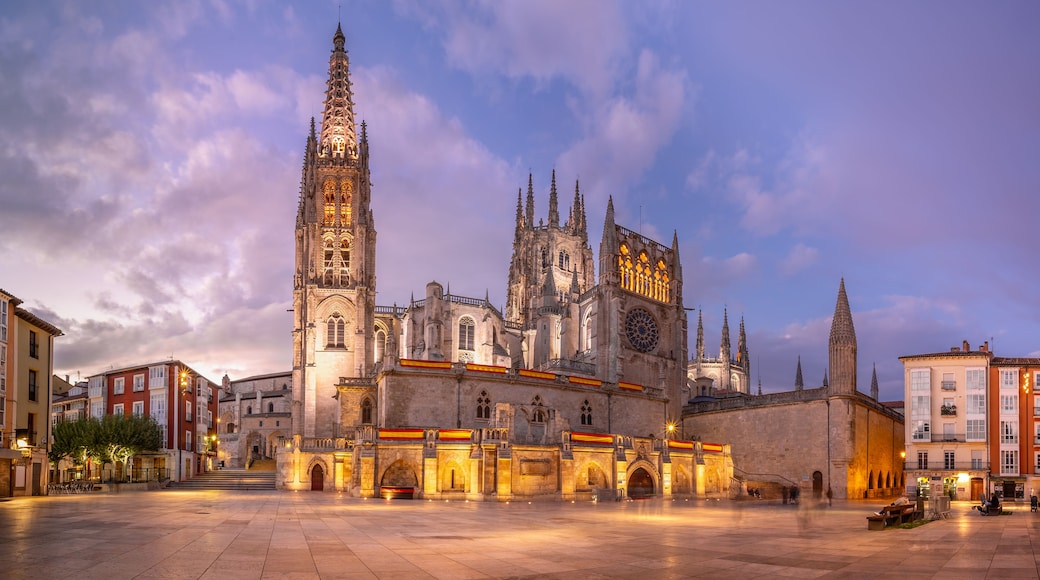 Uma catedral histórica com arquitetura detalhada e uma torre imponente, ao pôr do sol.